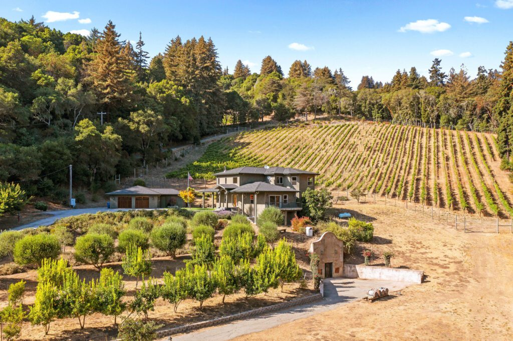 A vineyard with many trees and a house